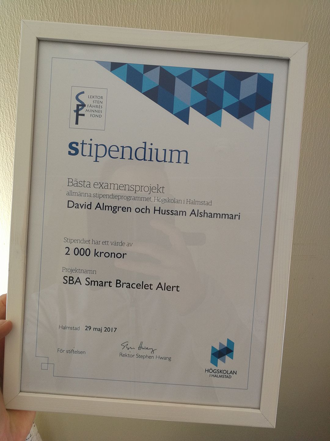 Award for best project